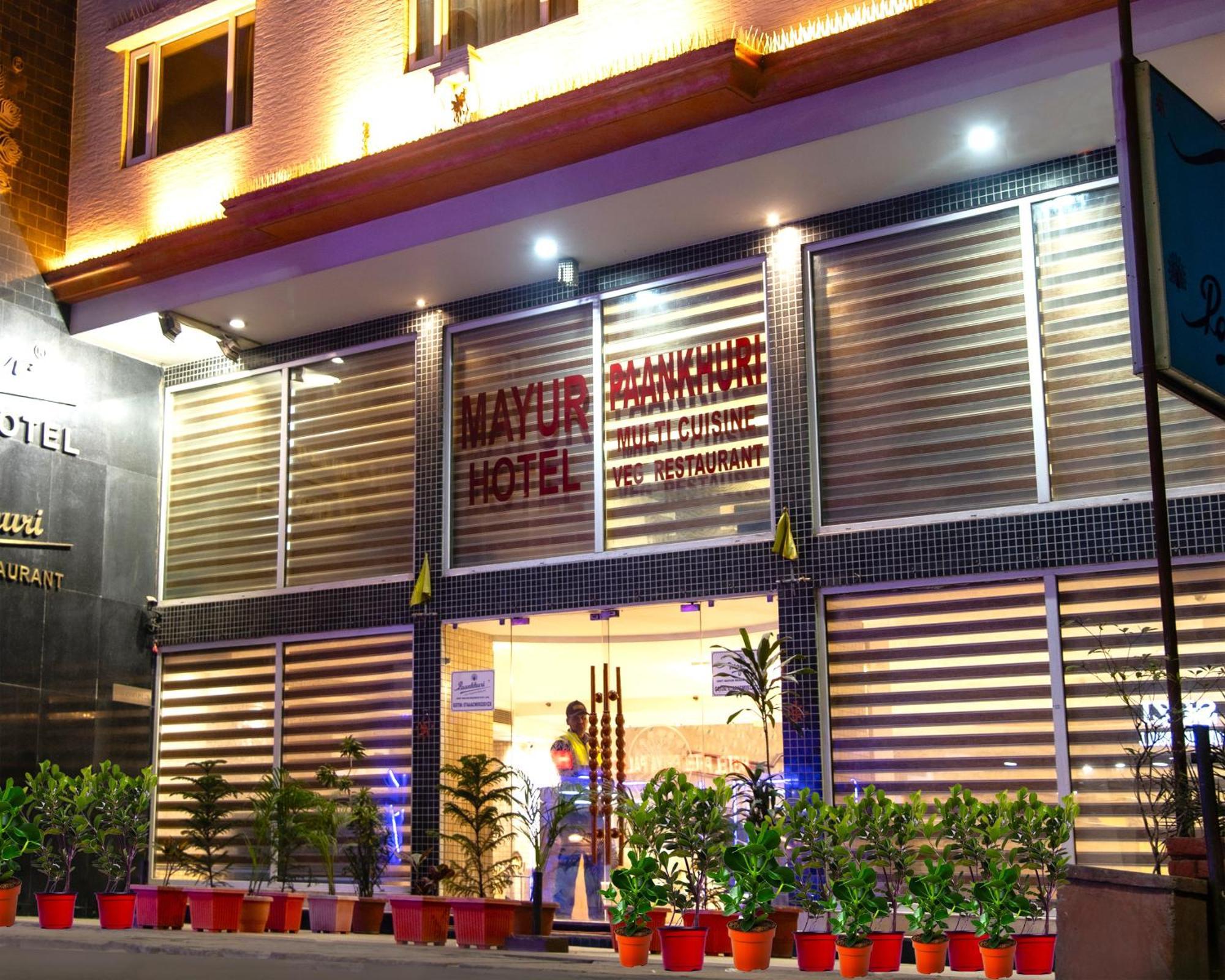 Mayur Hotel Nueva Delhi Exterior foto